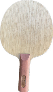 Tischtennis Holz Kombi Wizard