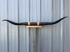 MOUNTED STEER HORNS 5 FEET  1 1/2” Inch WIDE LONGHORN POLISHED MOUNT BULL COW