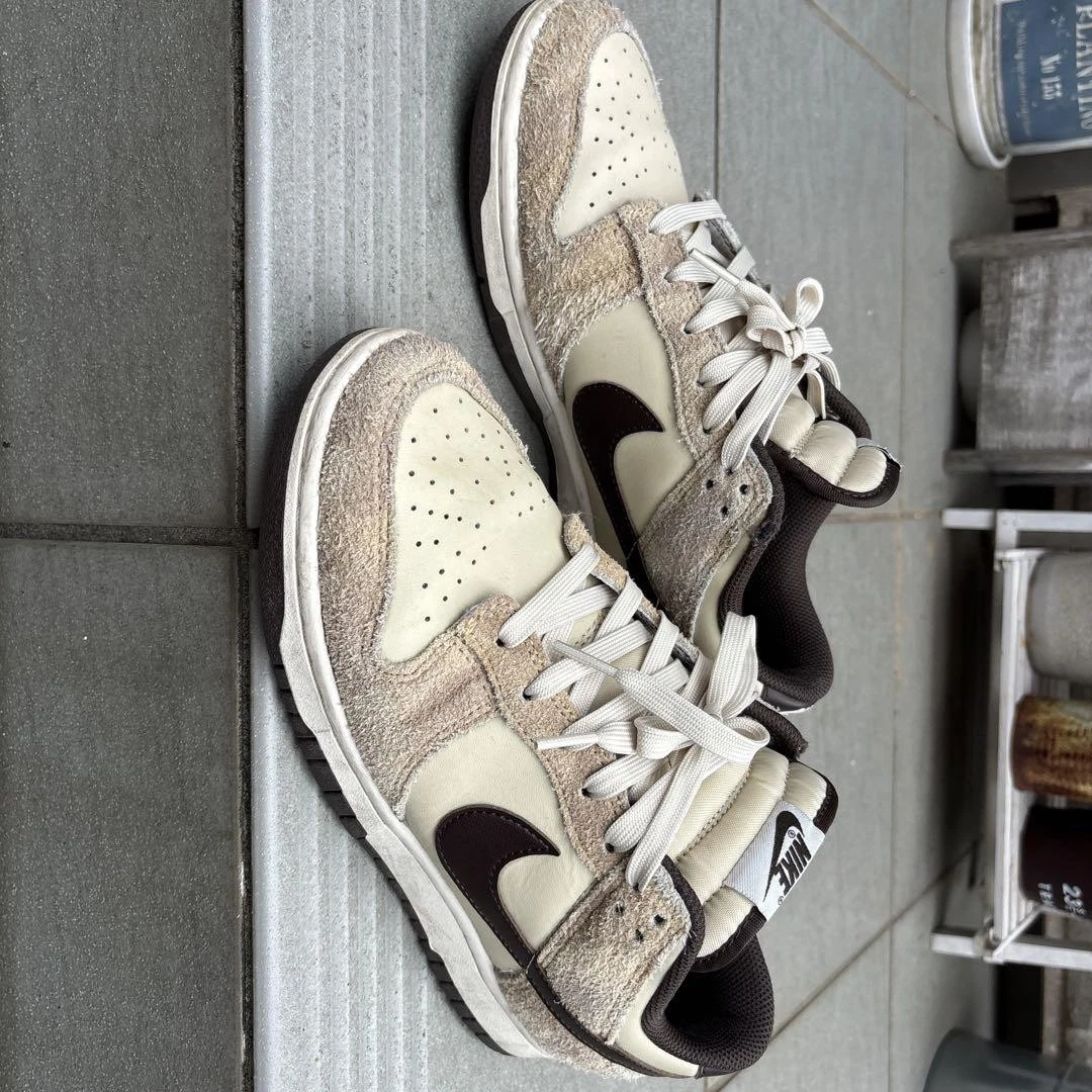Nike Dunk Sneakers Beige Marrone Uomo US 8.5 Usate
