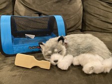 Perfect Petzzz Husky Dog Realistic Breathing Pet Plush. WORKS. Dog Carrier