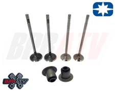08-14 Polaris RZR 4 800 Exhaust Intake Valves Valve Repair Kit Viton Stem Seals