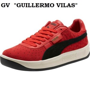 guillermo vilas puma