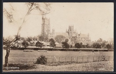 Ansichtskarte Ely, Cathedral 1909 