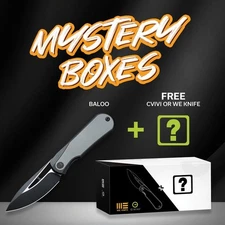 We Knife Co Ltd Baloo Folding Knife 3¼″ CPM-20CV Steel Blade Titanium/G10 Handle