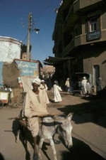 Egyptian on his donkey 1960s Old Photo