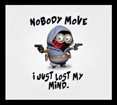 NOBODY MOVE I JUST LOST MY MIND Crazy Guns Refrigerator Fridge MAGNET