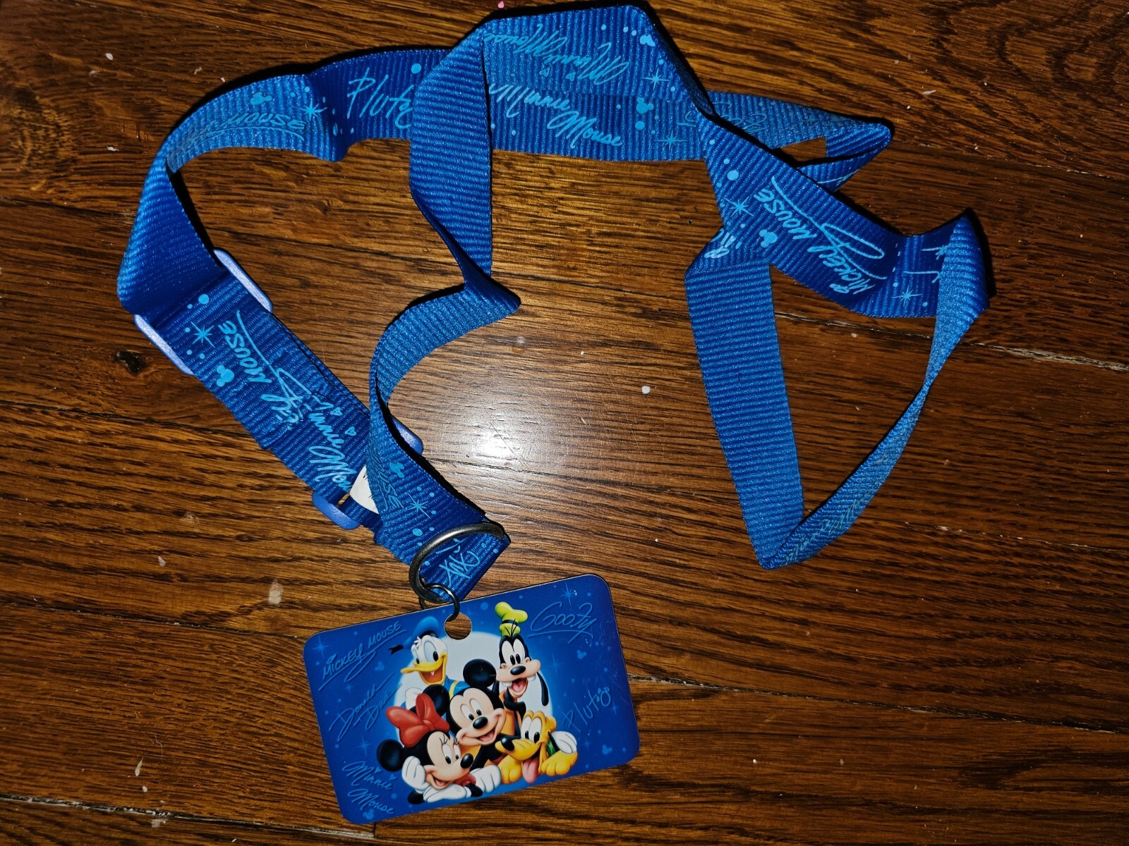 disney trading pin lanyard 