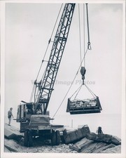 1949 Photo Construction Workers Shirtless Man Wood Machine Rock Knipper Vintage