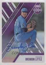 2017 Panini Elite Extra Edition Aspirations Purple /100 Brendon Little Auto 0f8