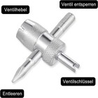 Bild 6 von 7