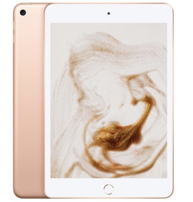 ipad mini with Tiktok