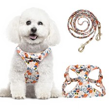 Small Dog Harness and Leash Set, Adjustable Puppy Harnesses with Cute Bowtie ...