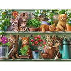 500pc Ravensburger Cats on the Shelf Themed Family Jigsaw Puzzle Pieces Set
