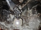 Retired Pandora Sterling Silver Forever Bloom Charm On 925 Pandora Necklace  — photo 2