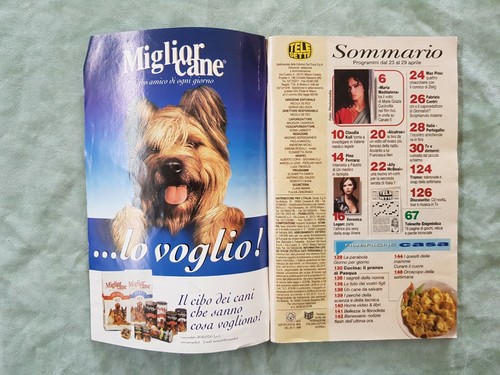 113) TELESETTE ITALIAN MAGAZINE N 17/2000 CUCINOTTA CLAUDIA KOLL VERONICA LOGAN - Photo 2 sur 12