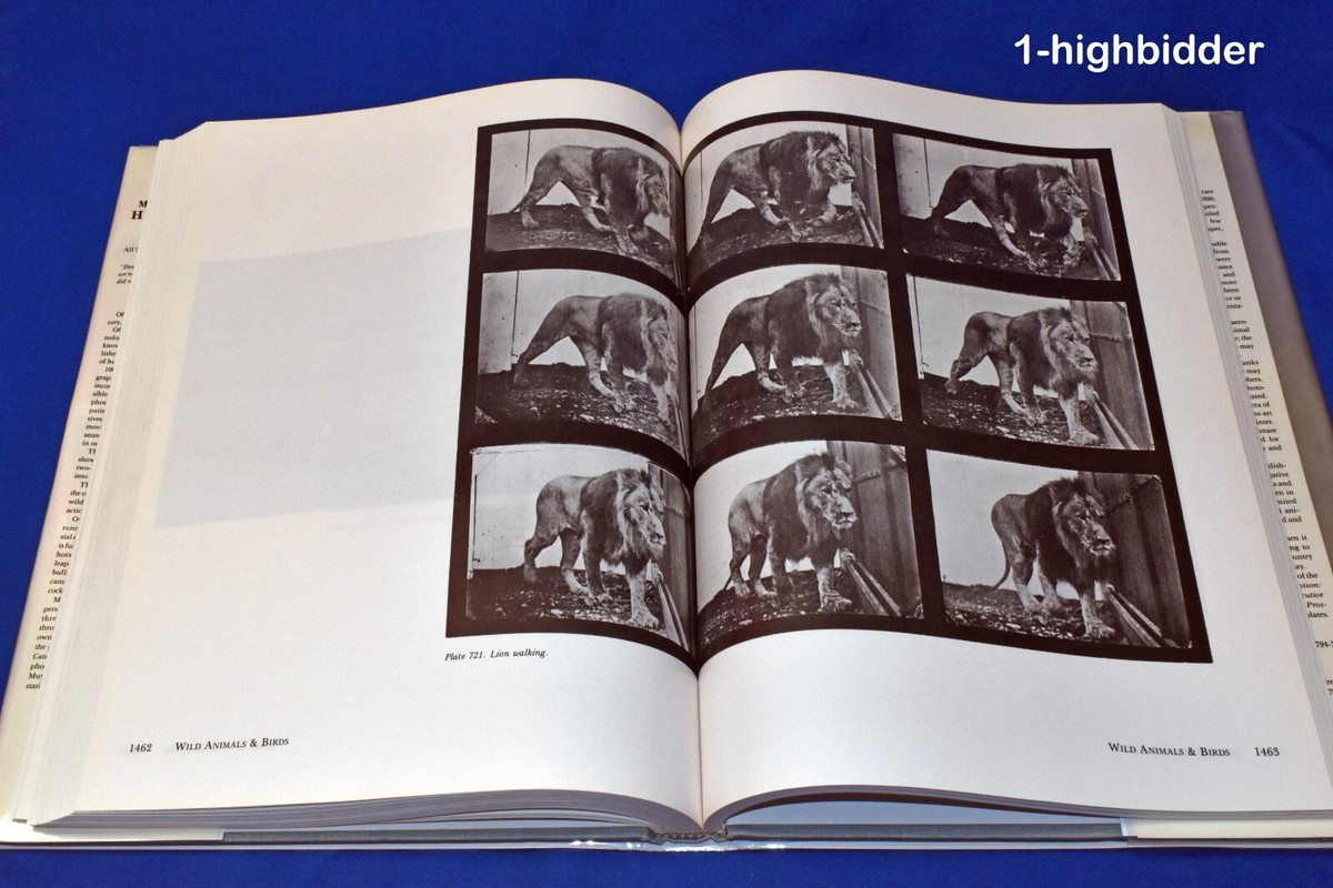 Eadweard Muybridge's Complete Human and Animal Locomotion v3