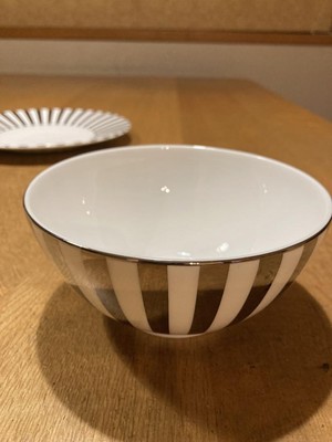 Wedgwood Jasper Conran Platinum Stripe Bowl & Plate 2 Pieces