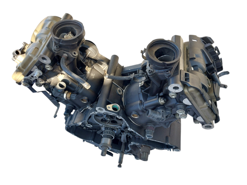 Block Engine ducati Monster 821 2014 2017 With 12000 Km Guaranteed - Picture 14 of 16
