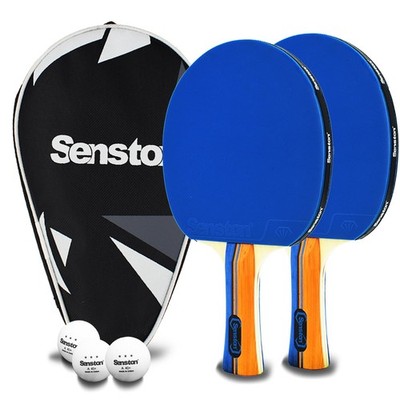 Ping Pong Paddles 2 Premium Table Tennis Paddle Ideal for Entertainment or Co...