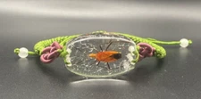 Insect Acrylic Bracelet Red Cotton Stainer Bug Clear Adjustable Unisex All Ages