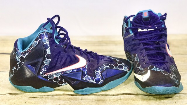 lebron 11 purple