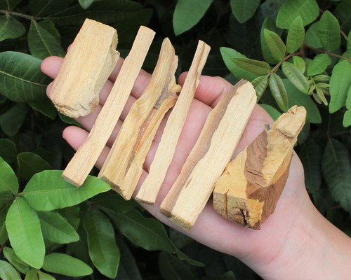 Palo Santo Wood Chips, Bits & Pieces 1 lb WHOLESALE CLEARANCE Wholesalt Bulk Lot - Picture 9 of 10