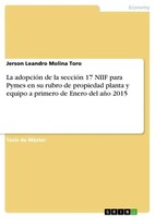 La AdopcióN De La SeccióN 17 Niif Para Pymes En Su Rubro De Propiedad Planta...