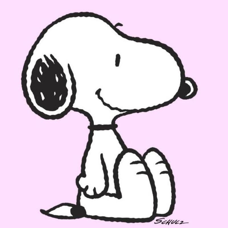 SNOOPY 絵画 スヌーピーPEANUT Peanuts 