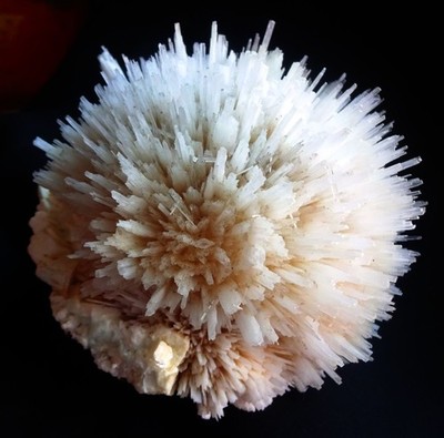 SCOLESITE BLOW BALL FORMATION ON APOPHYLLITE MATRIX MINERALS SPECIMENS