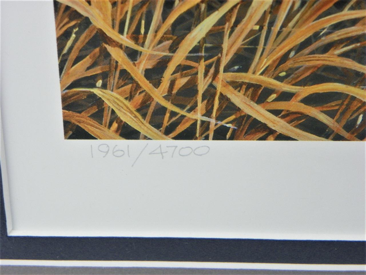 Ducks Unlimited Harold Roe 