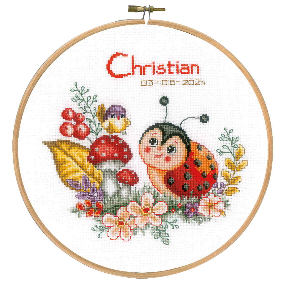 Vervaco counted cross stitch kit with embroidery ring ""Ladybug"", Diam 20cm, DIY