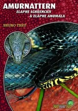 Amurnattern - Elaphe Schrenckii & Elaphe Anomala Bruno Treu Taschenbuch Deutsch
