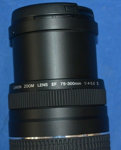 Teleobjetivo zoom Canon EF 75-300 mm f/4-5,6 III - Imagen 3 de 6