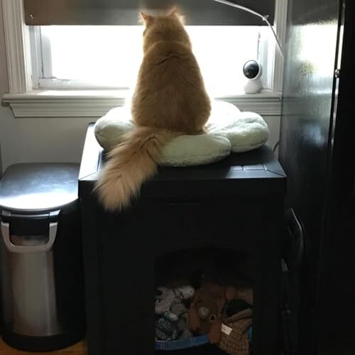 Outdoor Cat House for Winter Waterproof, Outside Multiple Feral Cat