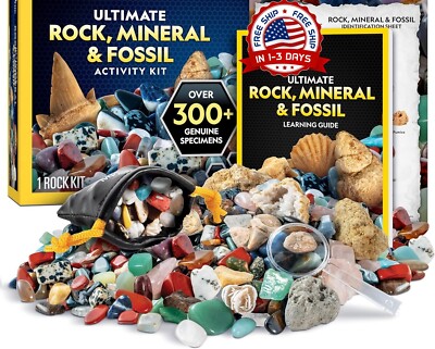 Caja de colección de rocas: 300 piezas de piedras preciosas y cristales US NUEVO