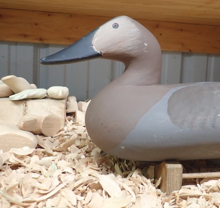 Solid Body Canvasback Vintage Hunting Duck Decoys for sale | eBay