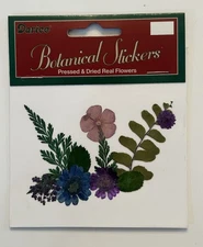 Darice BLUE FLOWER  Botanical Stickers Pressed And Dried REAL FLOWERS