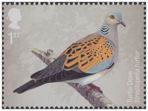 Japan commemorative postmark, 2019 new era bird 50y (jca761) | eBay