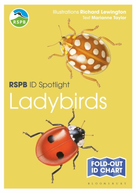 RSPB ID Spotlight Ladybirds by Marianne Taylor - Image 2