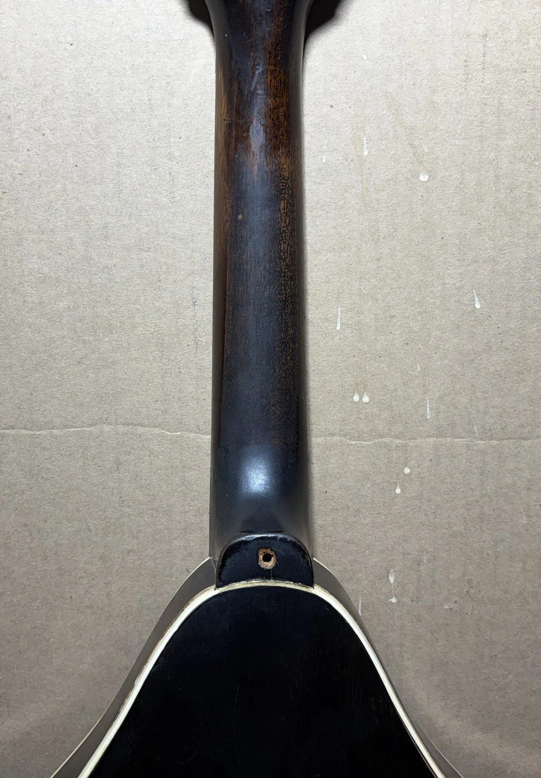 Picture 14 of 24