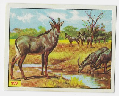 70er Jahre Figur Panini Prehistoric Animals Album Sticker 339 Edizioni Panini Gut