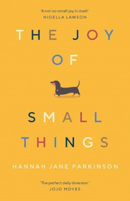 The Joy of Small Things: 'A not-so-small joy in itself. - Paperback / softback N