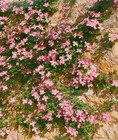 Bild 2 von 11