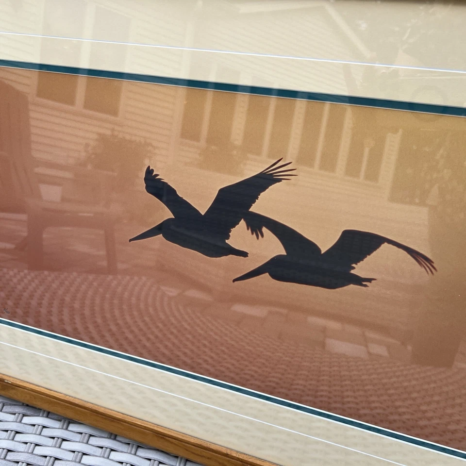 Foto artística firmada por Thomas Mangelsen Ltd pelícanos aves alas al atardecer numeradas MCM Foto 3 de 4