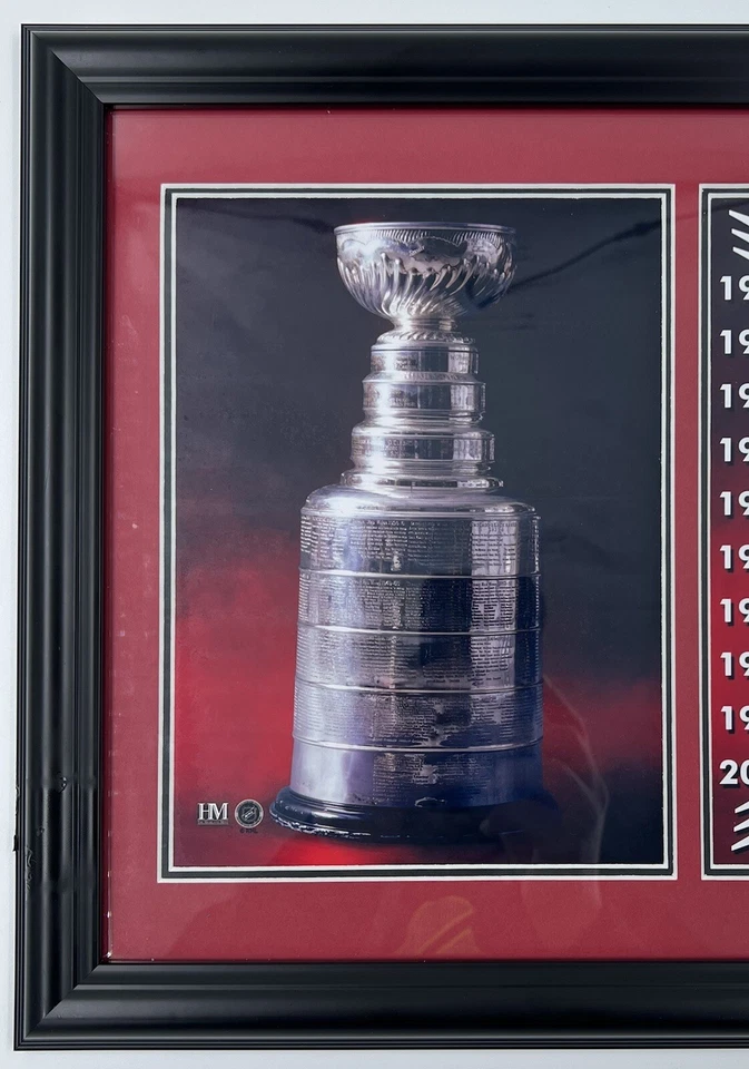 Detroit Red Wings Stanley Cup Champions Plaque#0472 Game Used Net w/Bronze Coin — 第 2/4 张图片