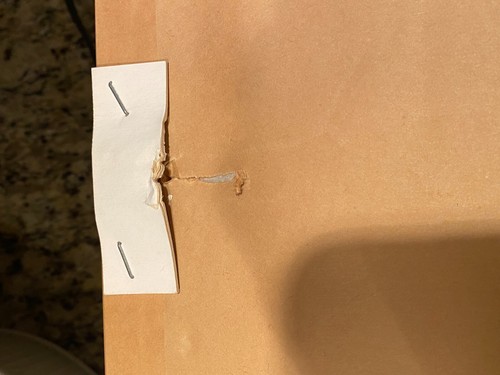 F. de Villeneuve Vintage gerahmte botanische Drucke X3 Blatt Sorte signiert mattiert - Bild 8 von 11