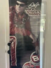 Dale Earnhardt Jr. Budweiser Rock Steady Banner