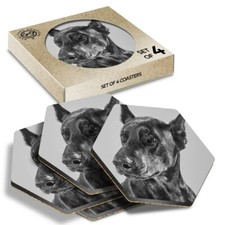 4 x Hexagon Coasters - BW - Doberman Dog Portrait Puppy #39046