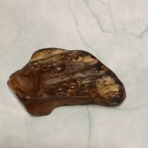 Petrified Wood ●  Ancient  ●  Fossil   ● - Picture 5 of 6