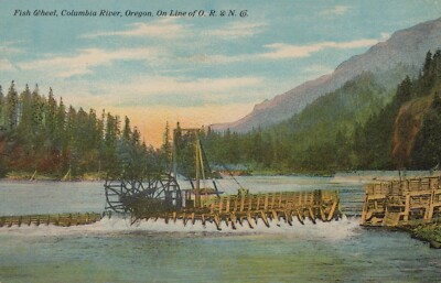 Fish Wheel Columbia River Oregon On Line of O. R. & N. Company Postcard